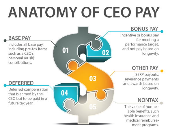 CEO pay categories