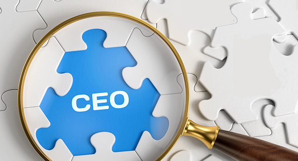 CEO hiring strong, but be able to cite good moves in 2020