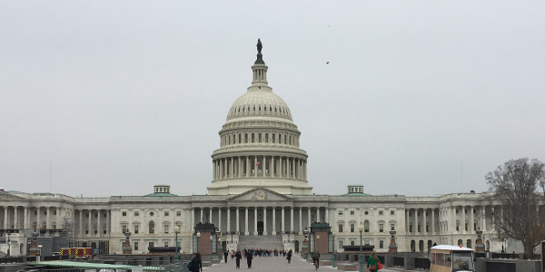 Fly-in season under siege as Congress limits office visitors