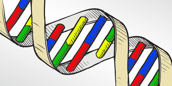 Editing your association&#039;s genetic code