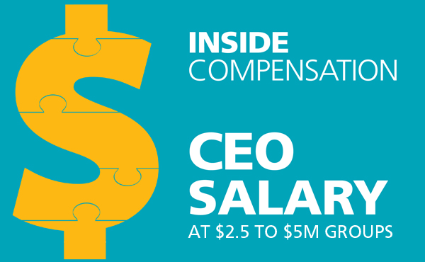 CEO pay rises at small groups, but at slower pace than at larger groups